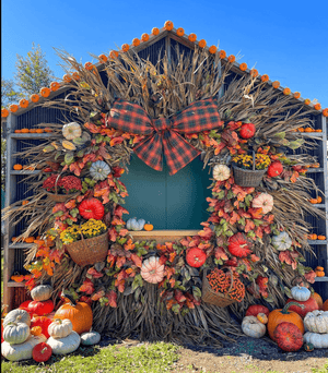 Lucketts Fall Market