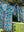 100% Cotton Shorty Pajama Set in Cornflower (teal)