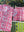 100% Cotton Shorty Pajama Set in Pretty in Pink (pink)