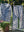 100% Cotton Long Pajama Set in Dahlia Grey & White
