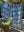 100% Cotton Long Pajama Set in Sunflower Blue